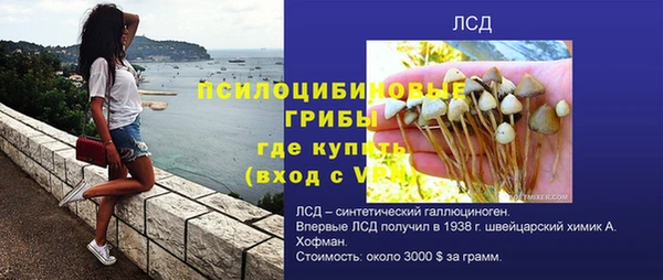 молекула духа Абинск