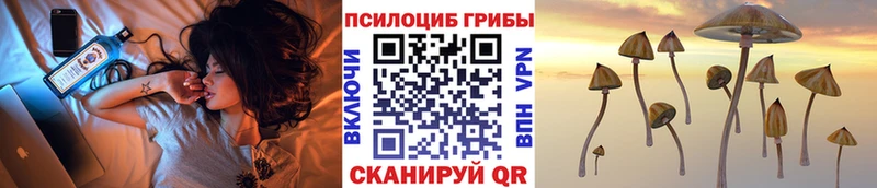 Галлюциногенные грибы Psilocybe  Киренск 